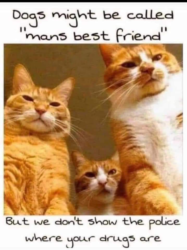 F1GdiIIWAAIoFir 718×960 pixels