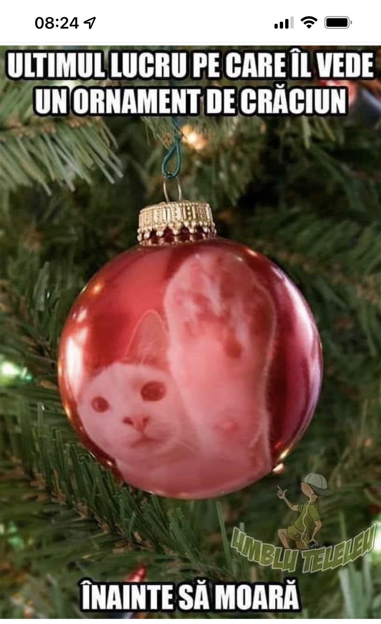 ornament craciun pisica