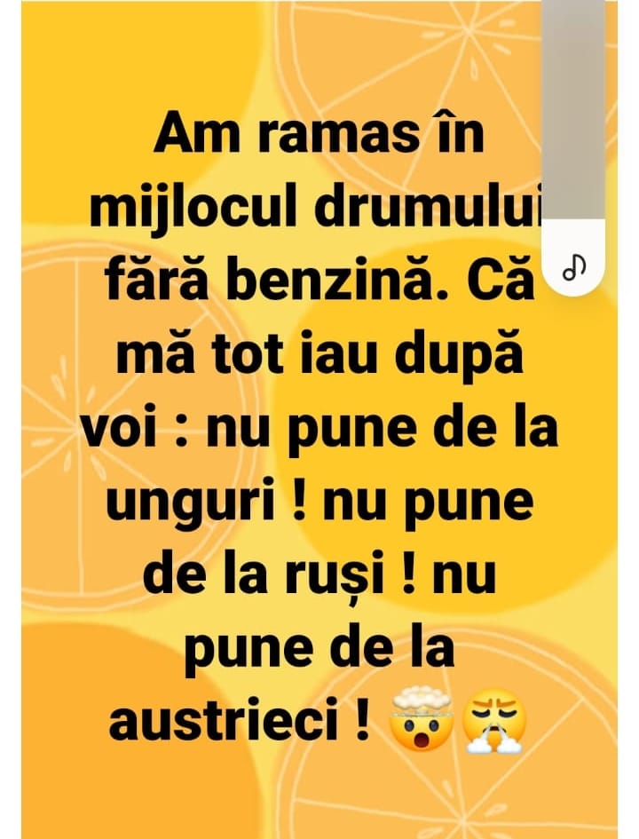 FjhQiPJXwAA7uu_ (720×945)