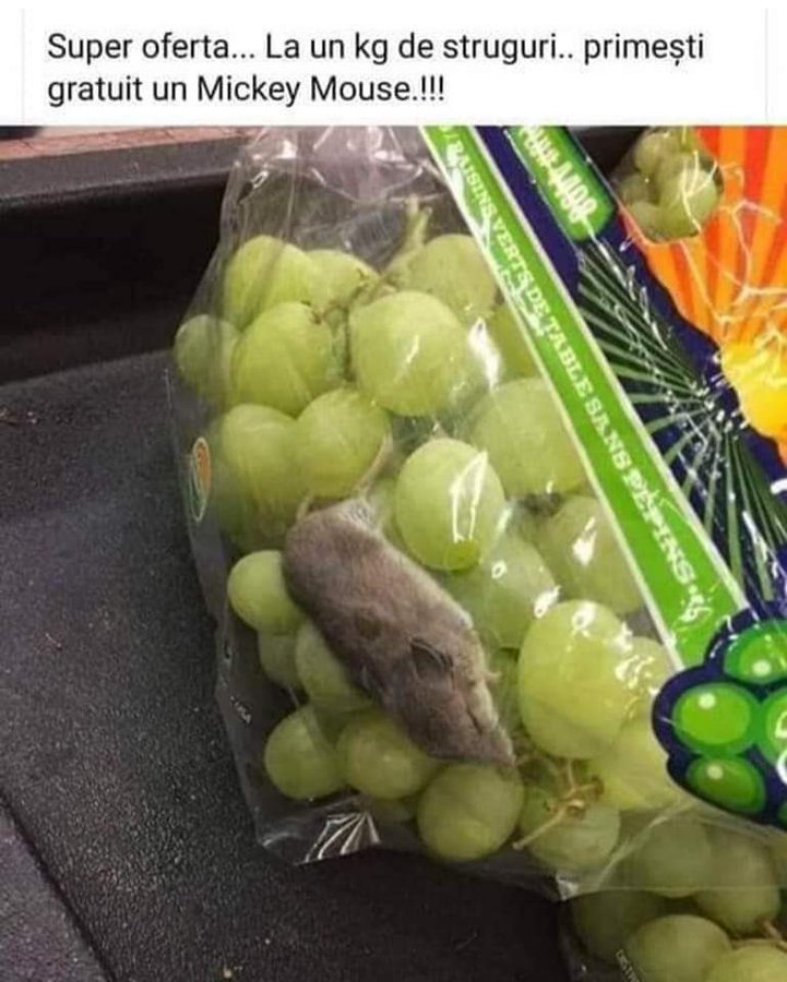 Fhgsp8mXwAASbA8 (721×900)