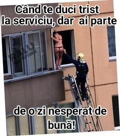 FrCuGbHXsAARMlp 236×268 pixels