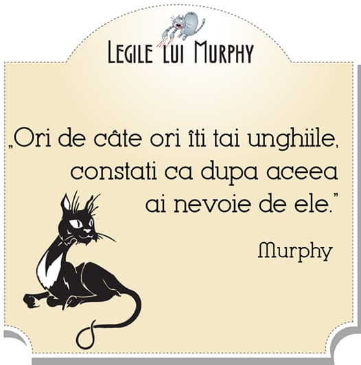 Fo2nji2XoAIajY8 526×532 pixels