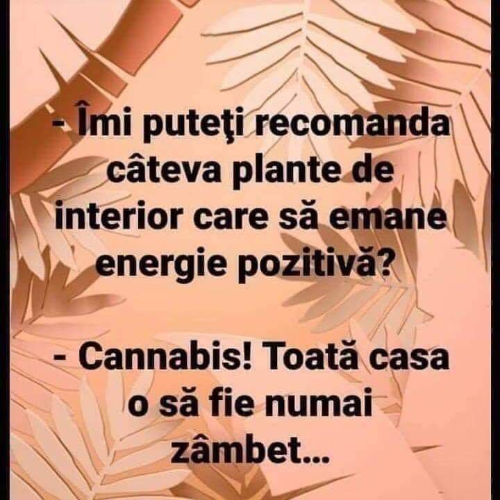 FilPpEtWIAIJ9Zx (720×720)