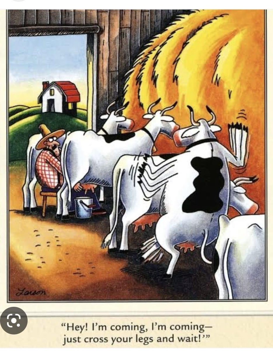 Fu0zdvrWIA8JAv5 (935×1200)