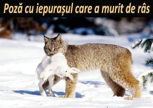 FsUP5xxXgAU9rdB 530×375 pixels