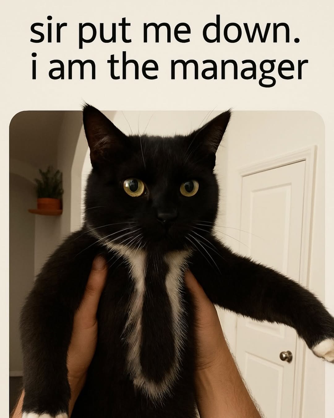 Gpka1IHXcAATbqV 1.080×1.350 pixels