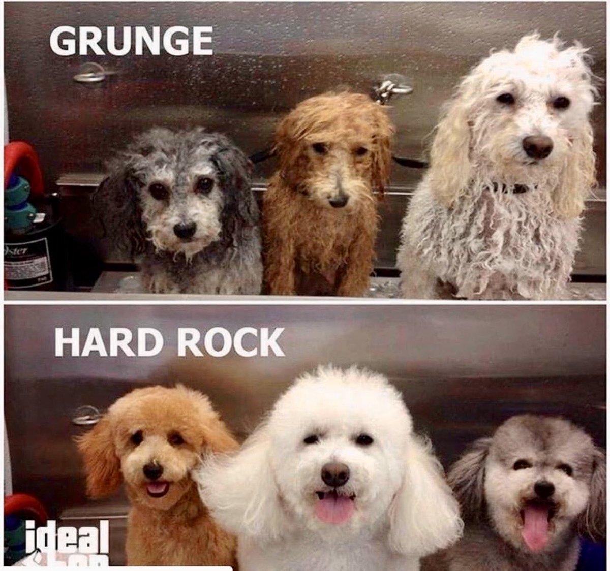 FuCdoR4aAAMdkNS (1200×1124)