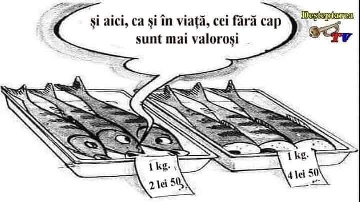 99cf44823e94c5290e327228ff581ee3
