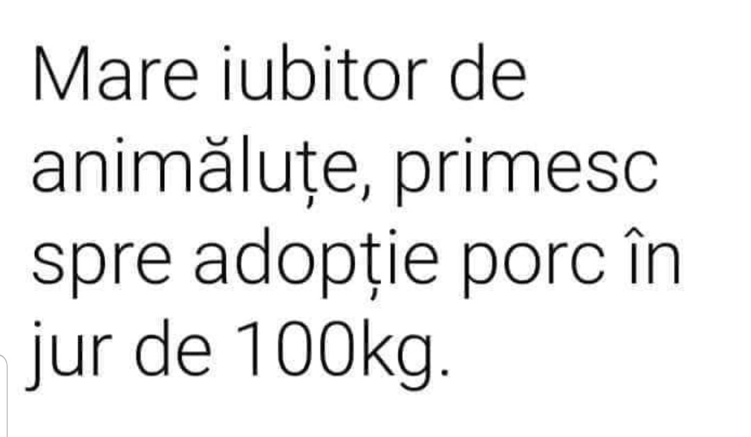 adoptie porc in jur de 100 kg