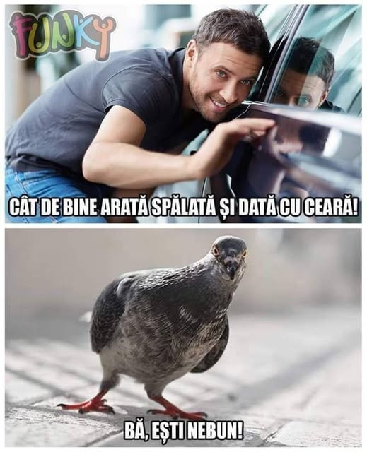 481818398_975656587877734_1584545541794079357_n.jpg (519×640)