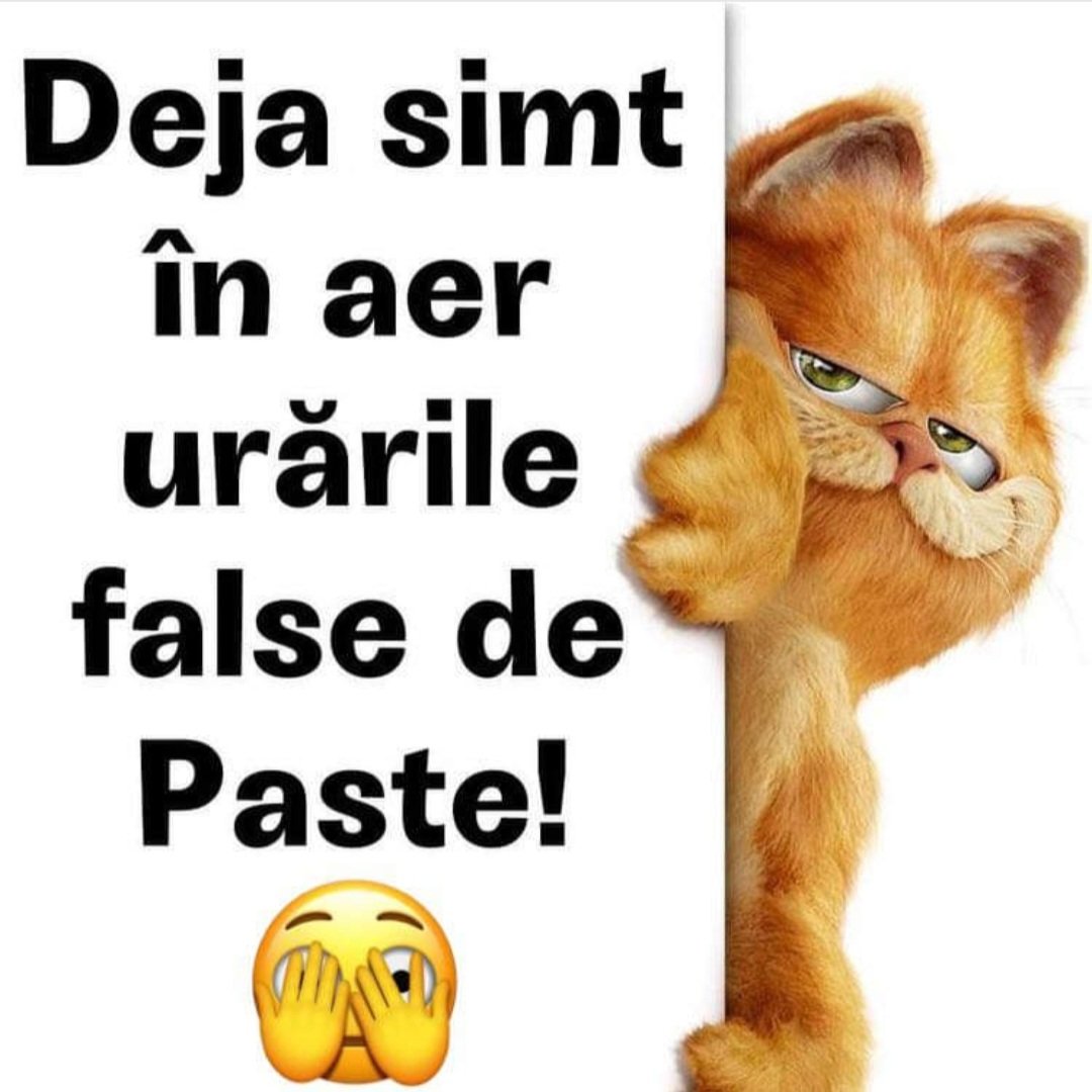 FtqiQefX0AE9FmT 1.080×1.080 pixels