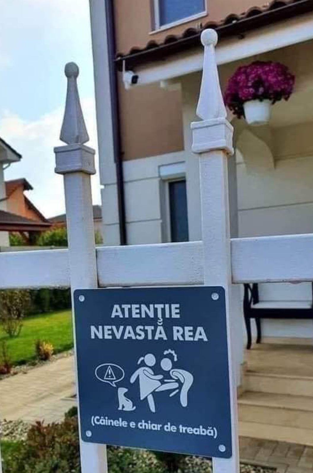 Fg3KQyWXwAEkVTv (1055×1592)