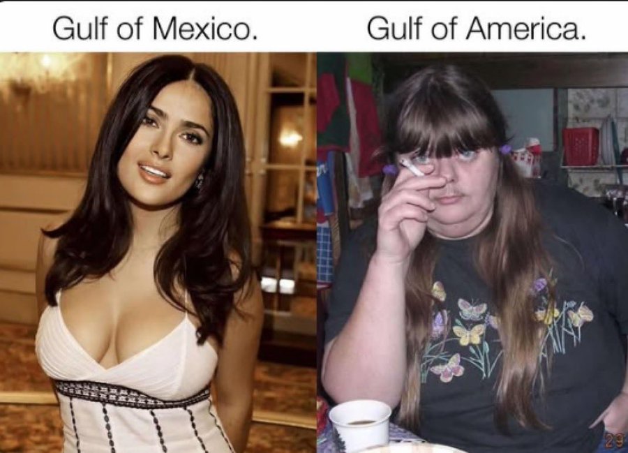 GiezkaIXsAAOiF7 (900×649)