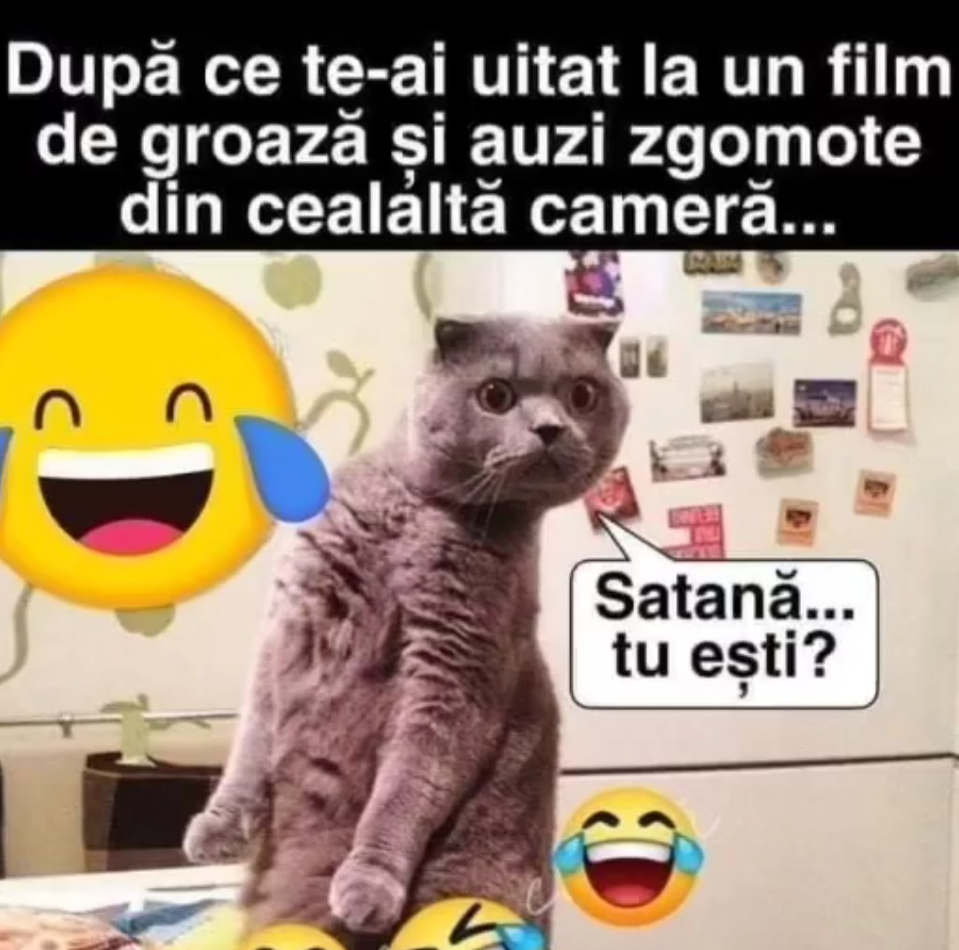 Ff05Y0yXgAESbql 1.080×1.069 pixels