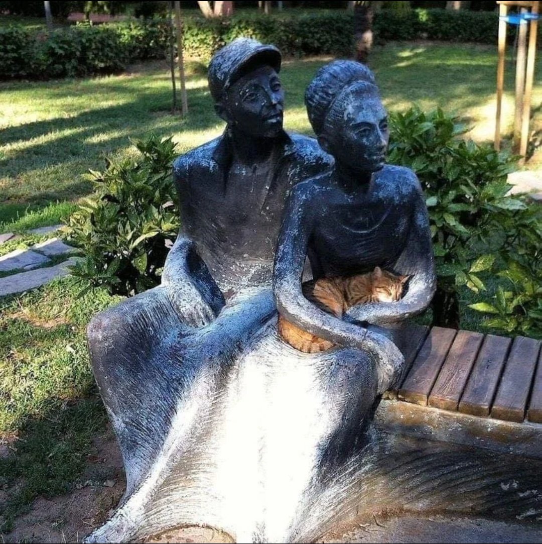 Fp9YD_cWwAIsq2B (1080×1083)