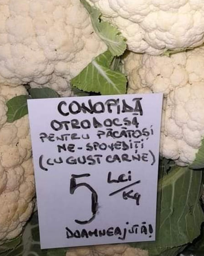 conopida ortodoxa