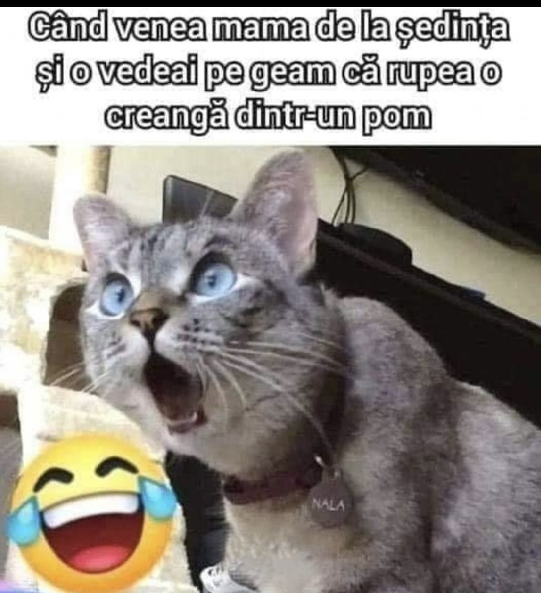 F8Eb398WgAAfo3Y (1093×1199)