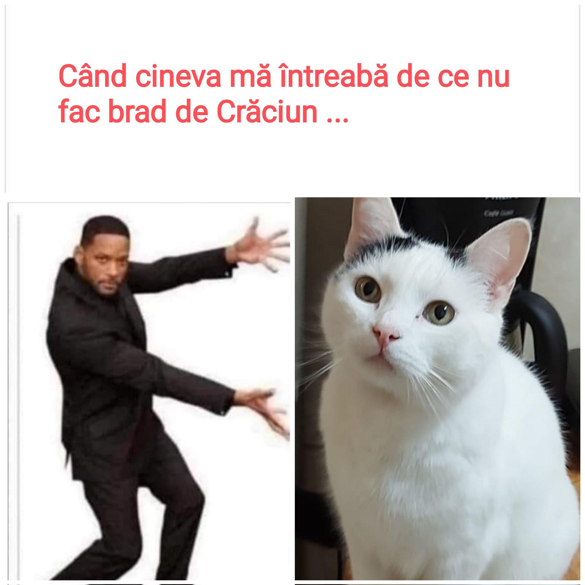 GArouLSW0AEfuhz 2.048×2.048 pixels