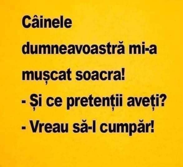 c7fd6f19adfecd149c360946cca2e9cd