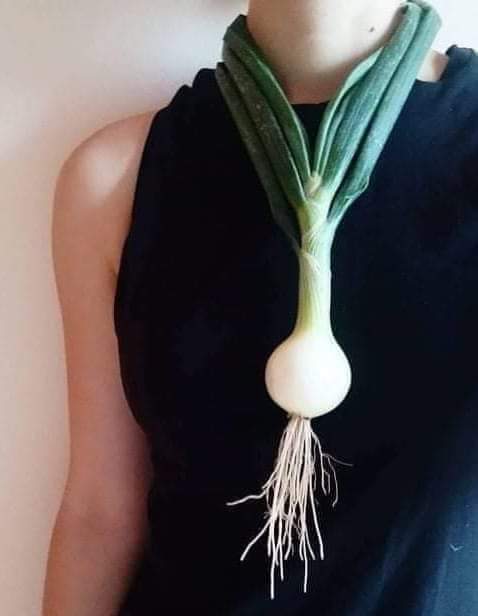 F0crjQmXoAsZAN8 478×616 pixels