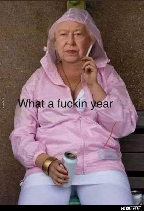 what a year