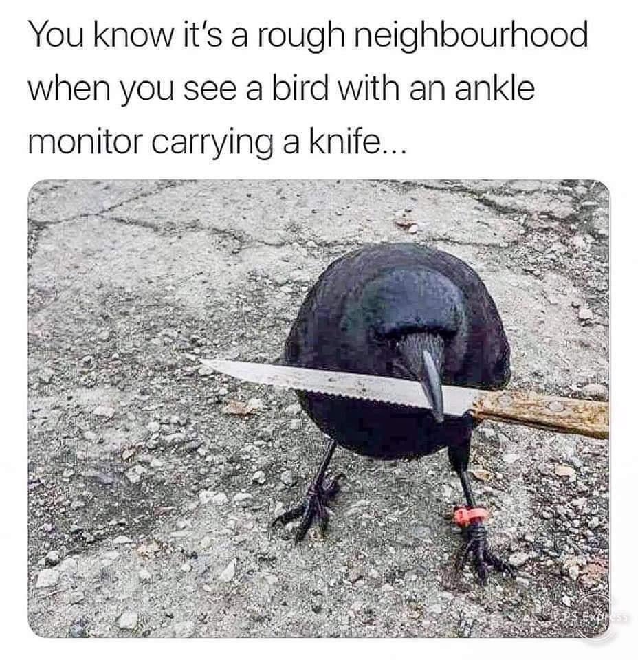 Foxpw2VWcAETVNq 928×960 pixels