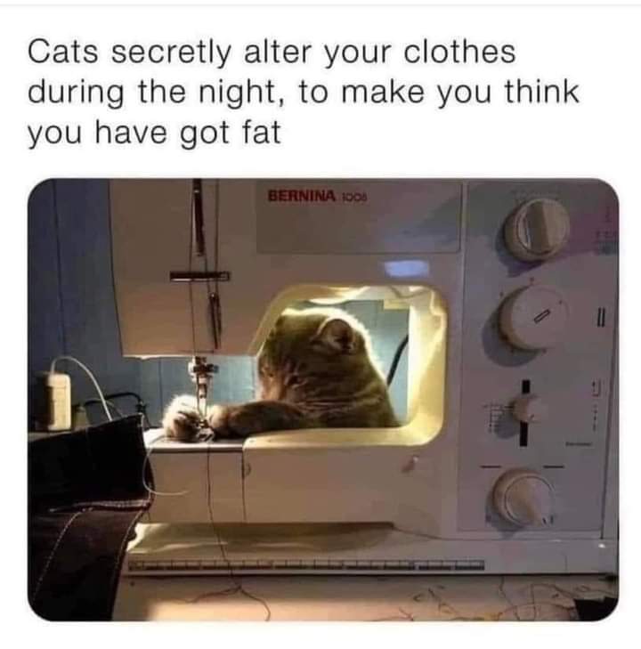 Frpy0eVWwAADNe0 (720×729)