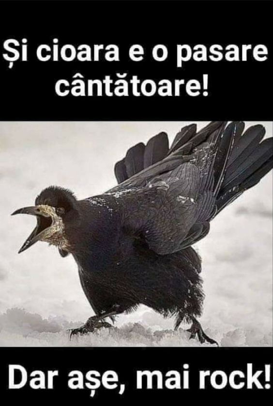 Fwwe2m7XwAEgWmI (564×836)
