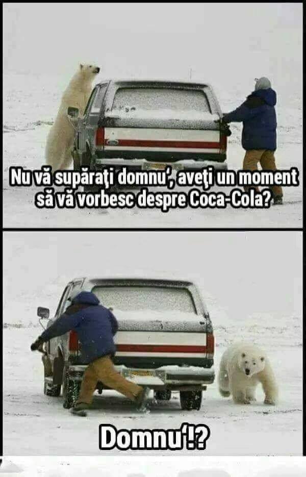 coca-cola urs
