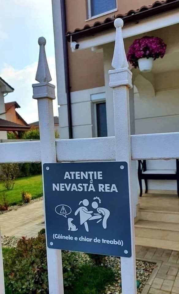 FvrjUORXwAIidQT 584×960 pixels