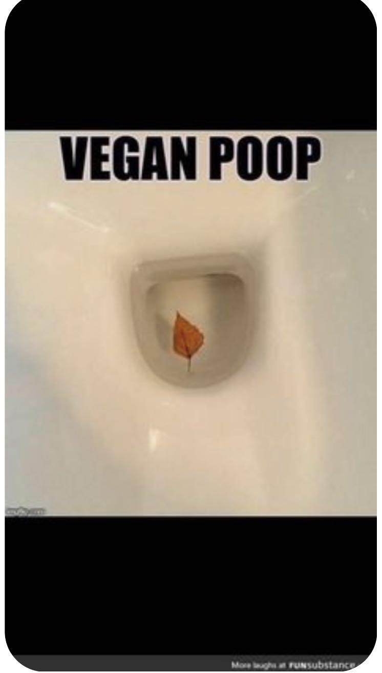 vegan poop