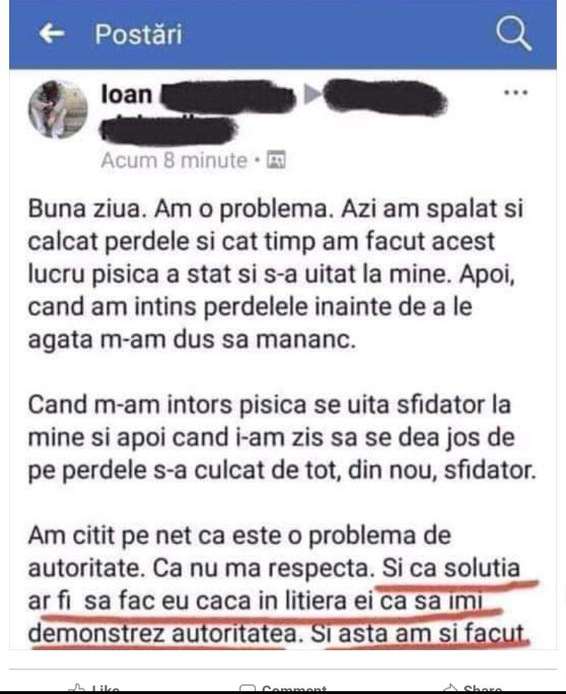 pisica autoritate