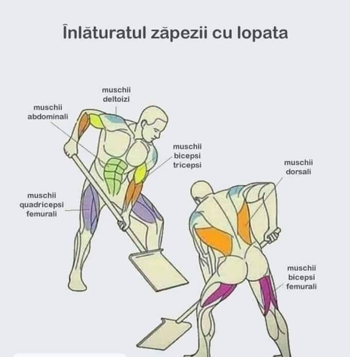 FnlDU1tWAAA9Fzn 720×734 pixels