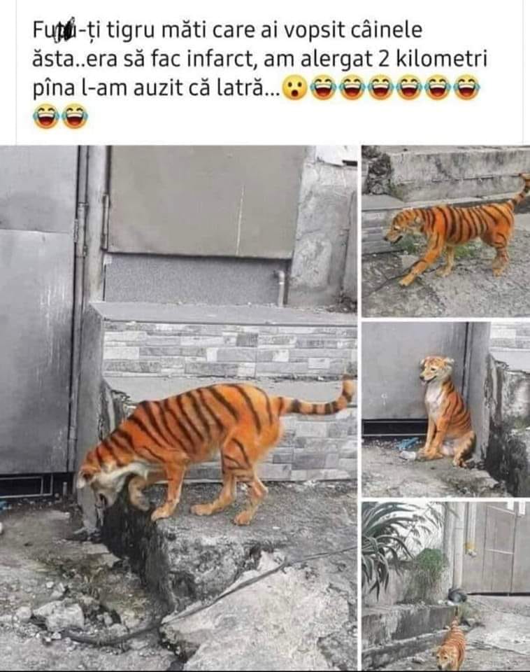 F5-7F9aWMAAQ2Is (758×960)