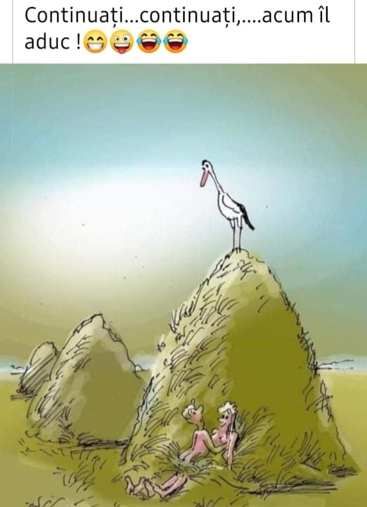 6bafdca4b37a03af8dd1ca726ff5abb6